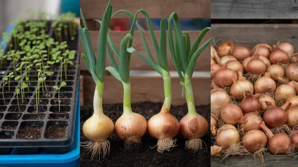 Step 2- Choose Your Starting Method