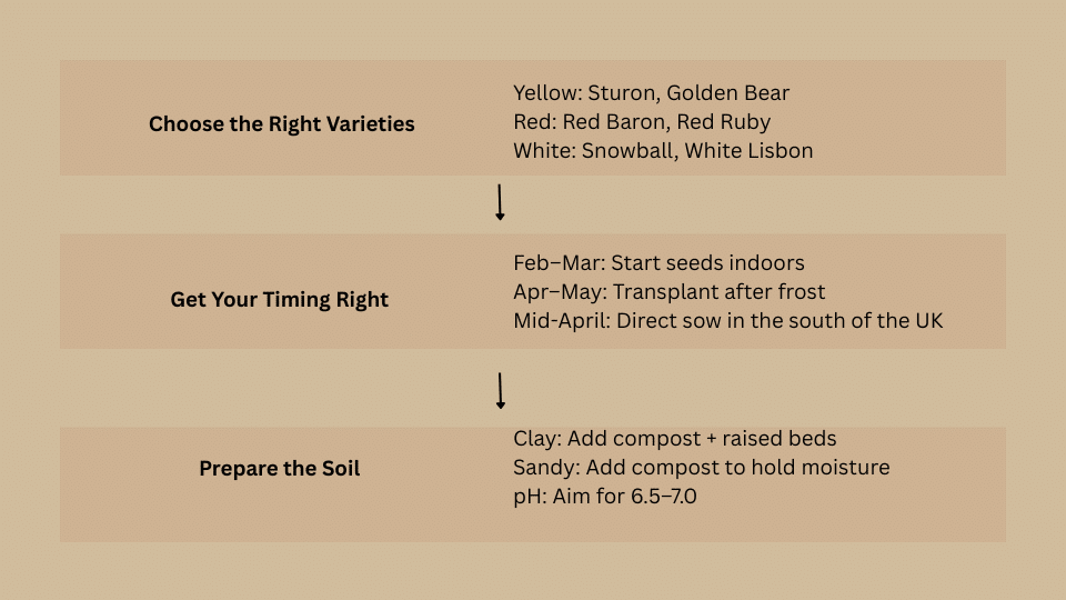 What It Takes to Grow Onions in the UK Climate?