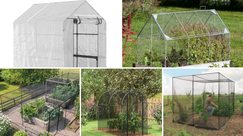 Where to Shop For Your DIY Fruit Cage Adventure?