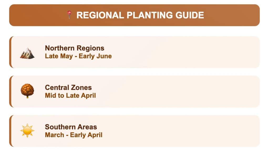Best-Time-to-Plant-Dahlias