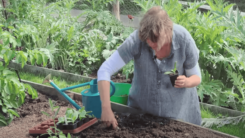 Prepare-the-Planting-Site